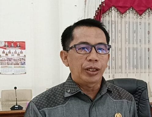 Wakil Ketua I DPRD Barito Selatan, Ideham (foto: BorneoToday/dok)
