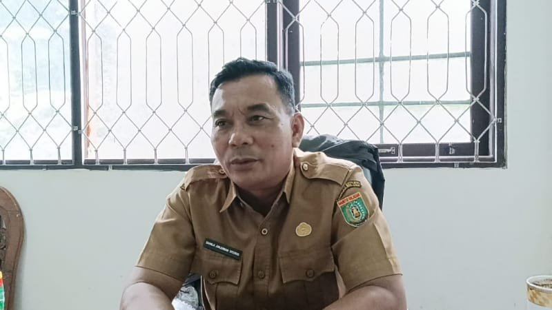 Kabid Penyelenggaraan Pemerintahan Desa dan Kelembagaan (P2DK) pada DSPMD Barito Selatan, Sahala Junjungan Sitorus (foto: BorneoToday/HBI)