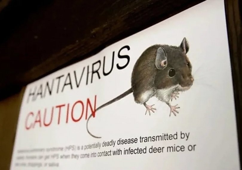 DPRD DKI Minta Pemprov Perketat Pengawasan Hantavirus