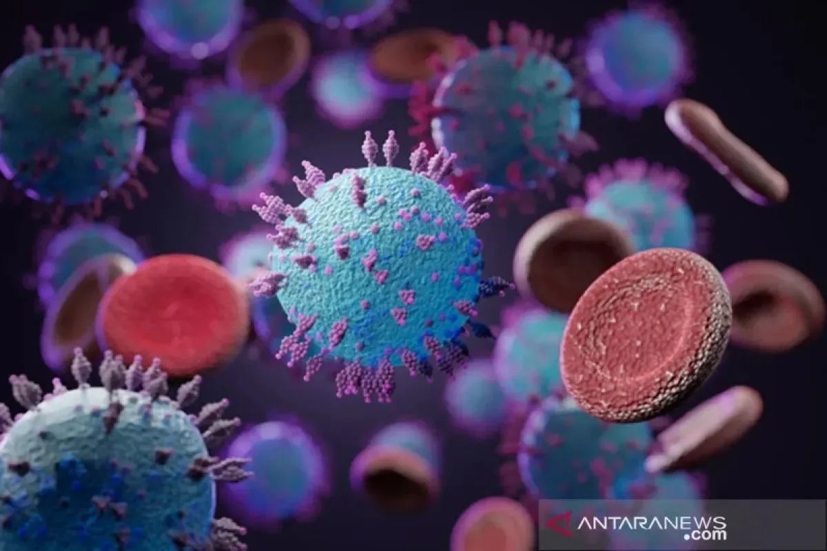 Ilustrasi wabah hantavirus. (ANTARA/HO/Istoc)
